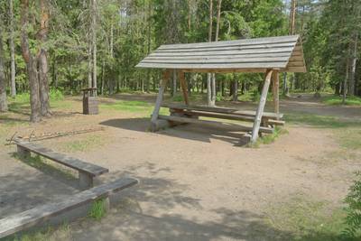 Место для палаток пайн-ярве (Järvi Pärnjärve telkimisala)