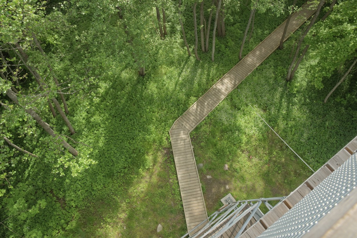 Вид с вышки.  Место для палаток тситре (Tsitre telkimisala).