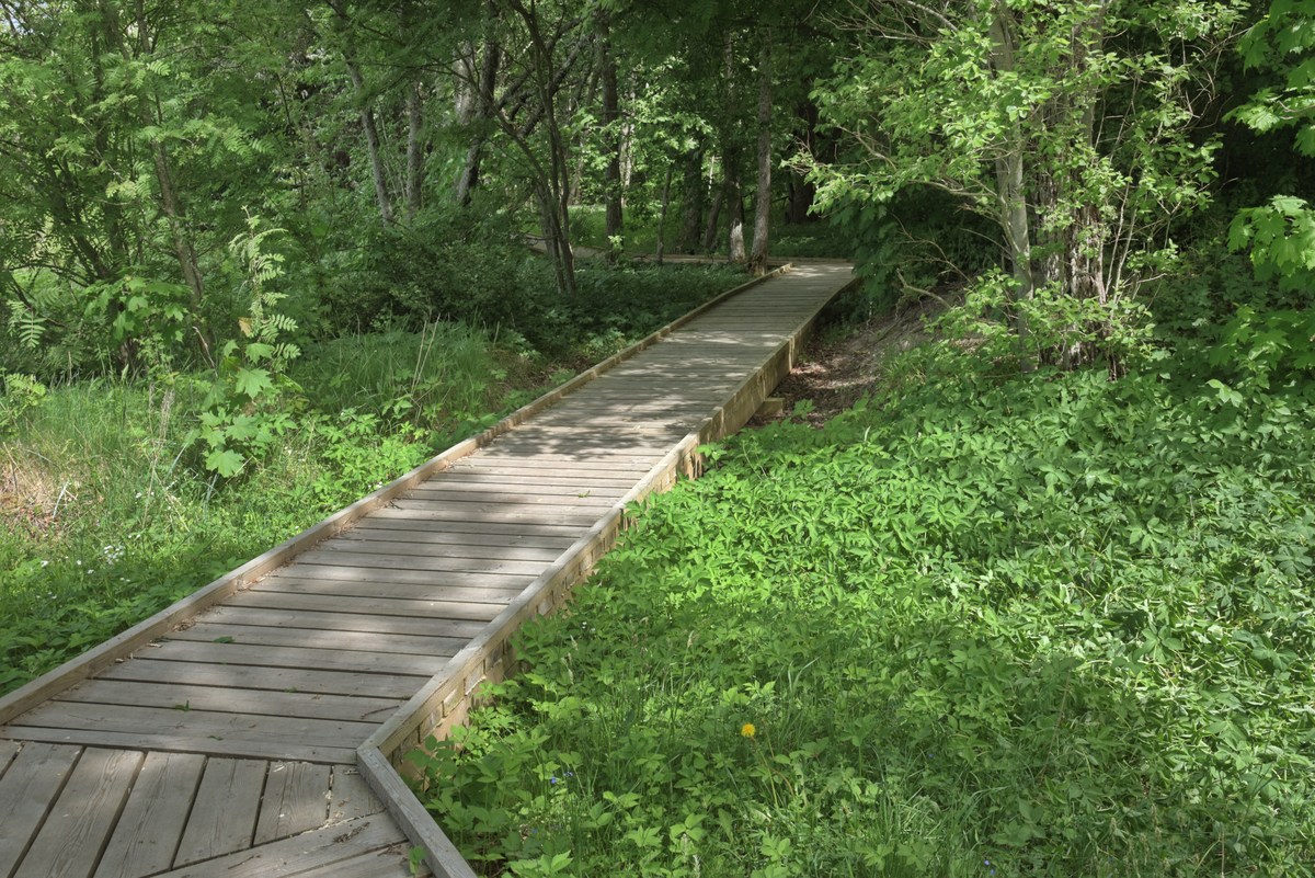  Место для палаток тситре (Tsitre telkimisala).