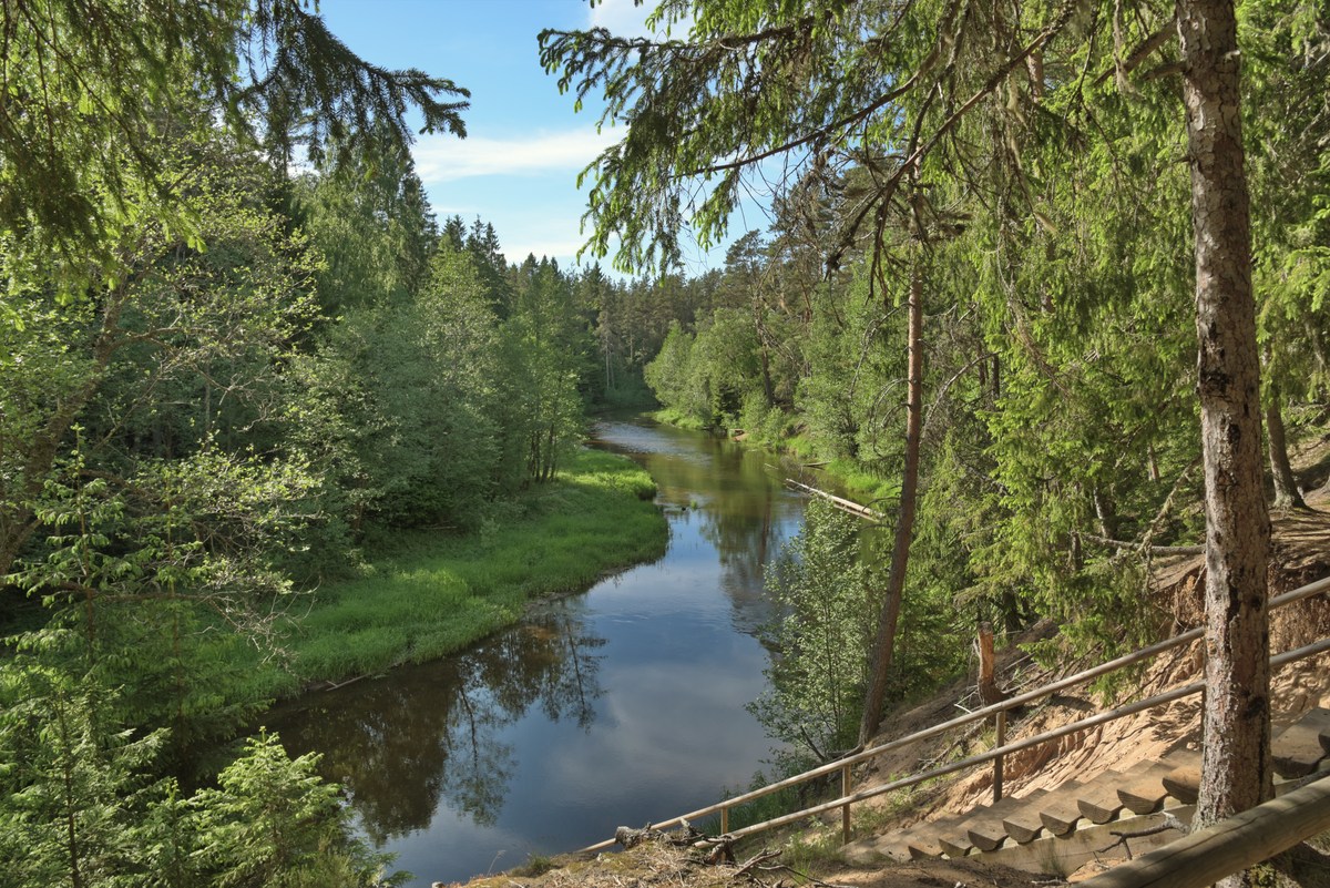 Спуск к реке. Место для костра Ныммевески, Nõmmeveski lõkkekoht.