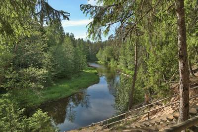 Место для костра Ныммевески (Nõmmeveski lõkkekoht)