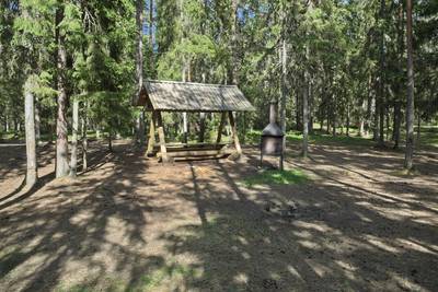 Место для костра Ныммевески (Nõmmeveski lõkkekoht)