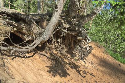 Место для костра Ныммевески (Nõmmeveski lõkkekoht)