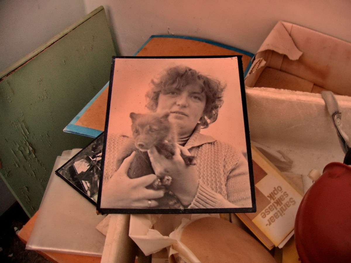  Фотографии от pixelzz. 