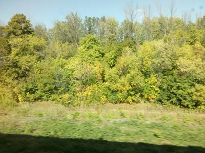 Санкт-Петербург - Сочи