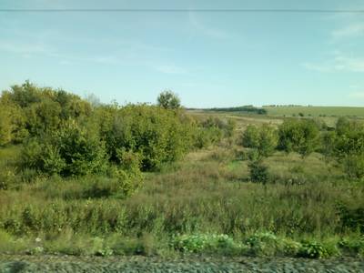 Санкт-Петербург - Сочи