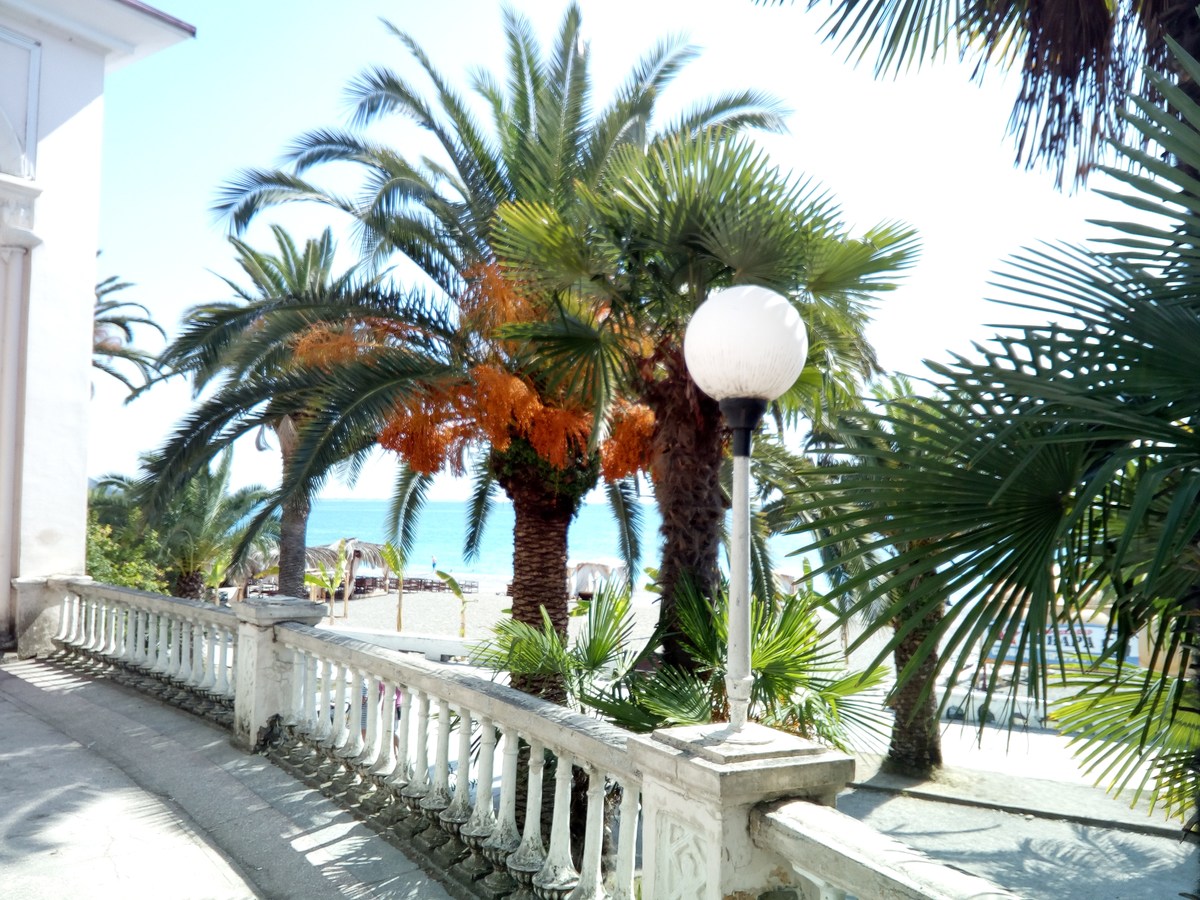 Гагры.  Вот и Сочи.