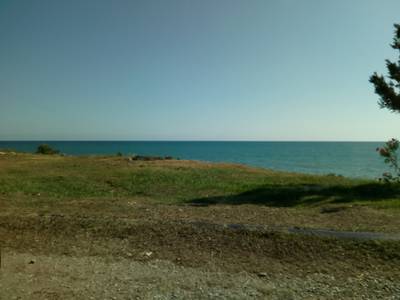 Абхазия - вид из окна машины