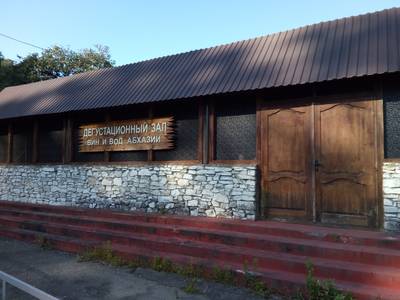 Абхазия - вид из окна машины