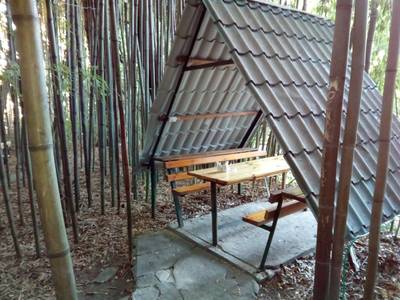 Ресторан в бамбуках рядом с городом Агудзера