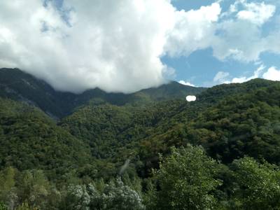 Поездка на озеро Рица, Абхазия.