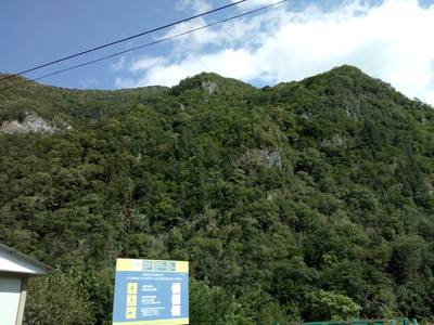 Поездка на озеро Рица, Абхазия.