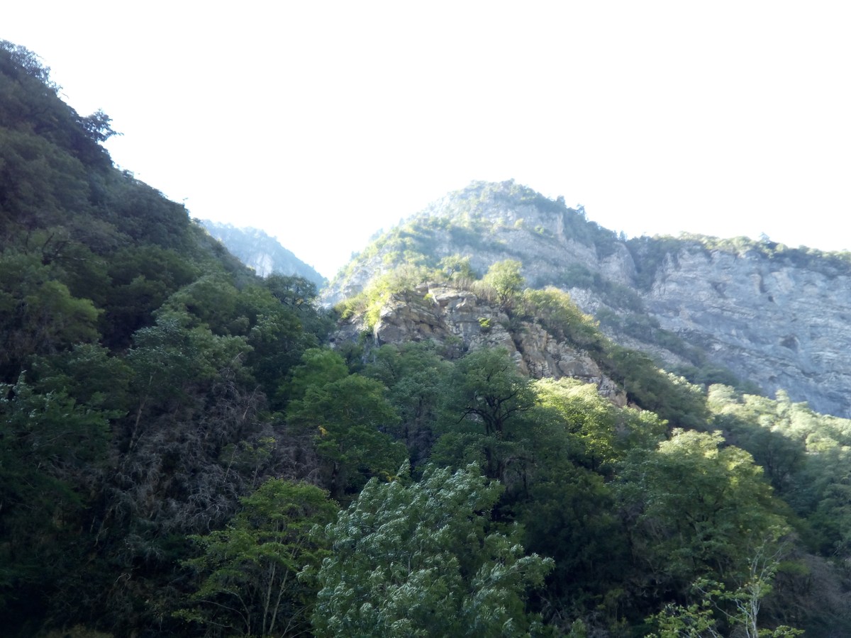 Горы. Поездка на озеро Рица.