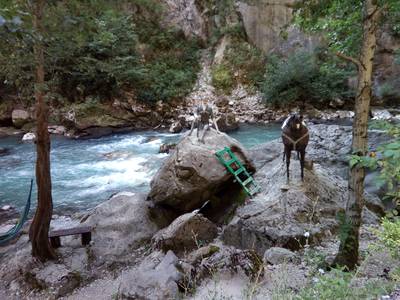 Поездка на озеро Рица, Абхазия.