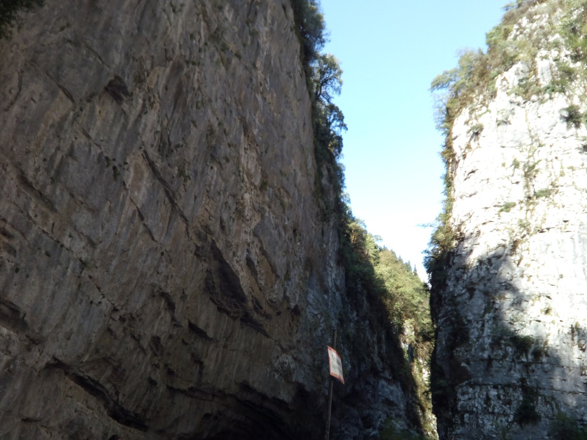  Поездка на озеро Рица.