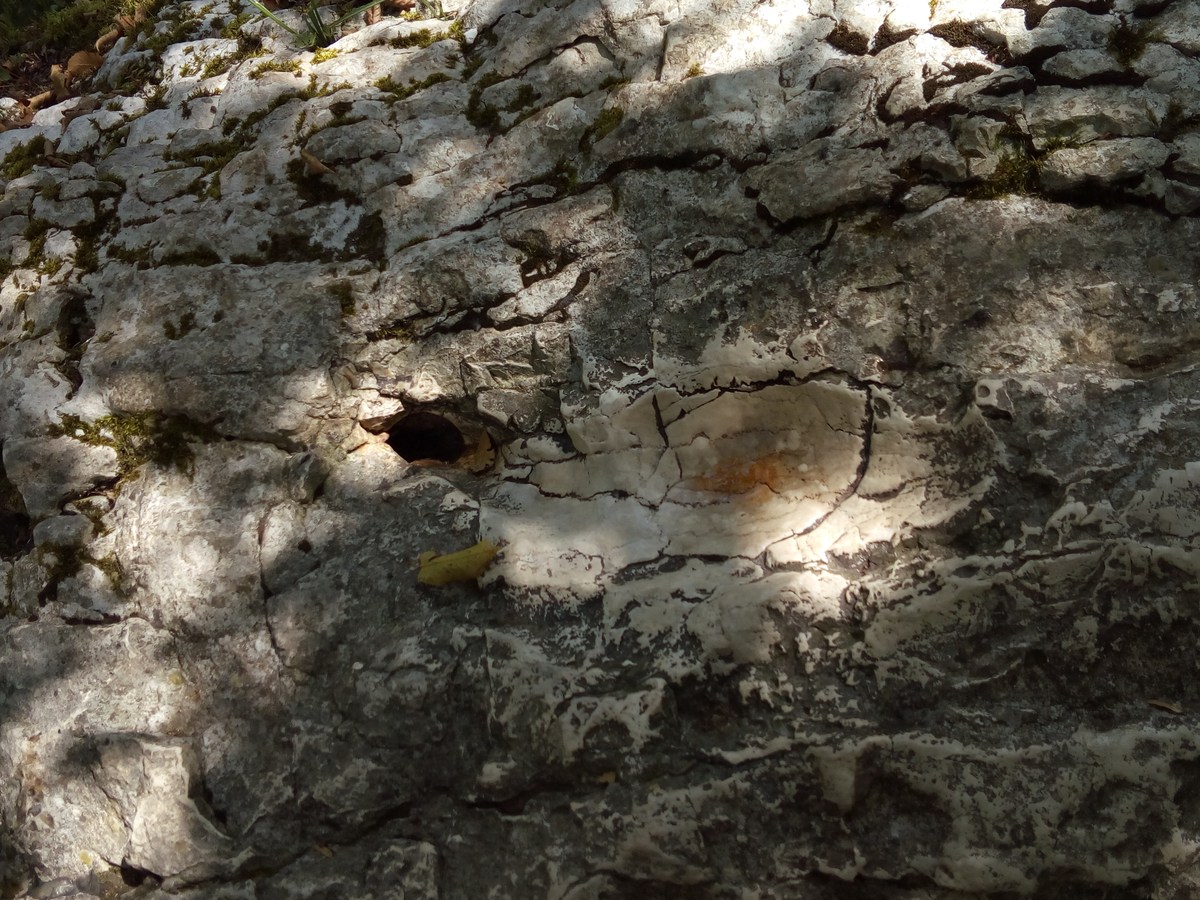 Наскальный след святого апостола Симона Канонита.  Новоафонский монастырь.