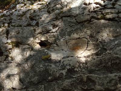 Новоафонский монастырь. По следам святого Симона Кананита.