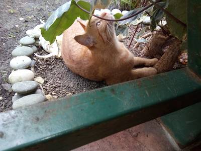 Ресторан 'Ущелье'