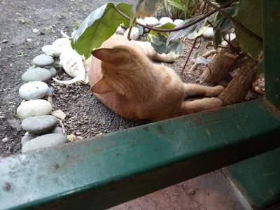 Ресторан 'Ущелье'