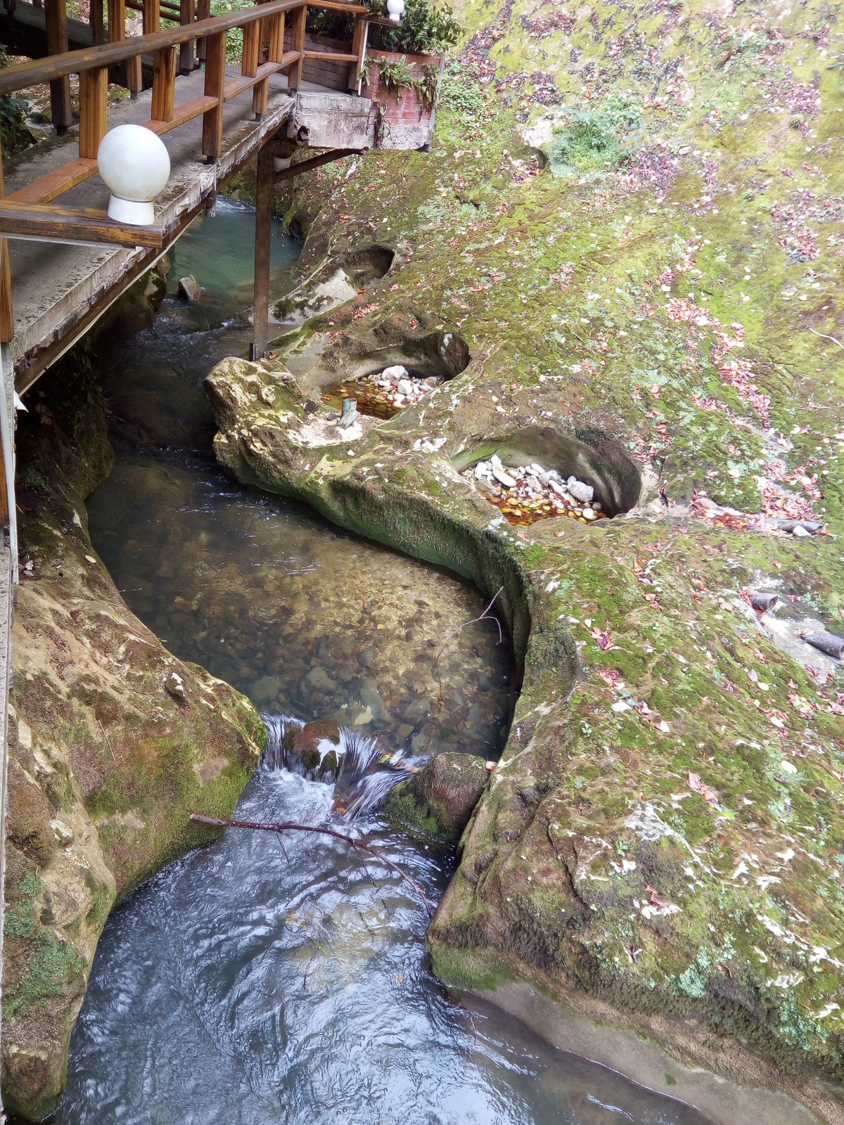  Ресторан Ассир.