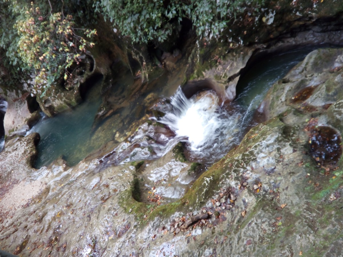  Ресторан Ассир.