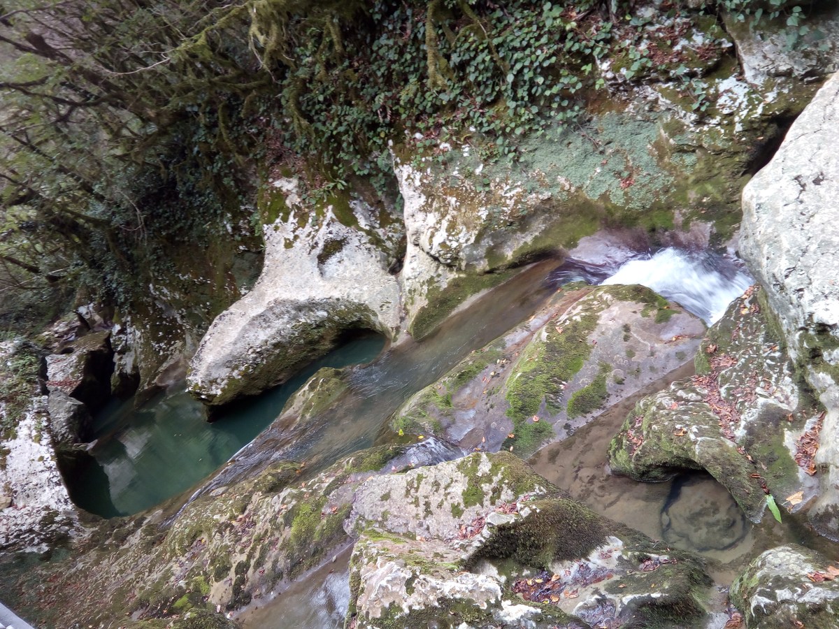  Ресторан Ассир.