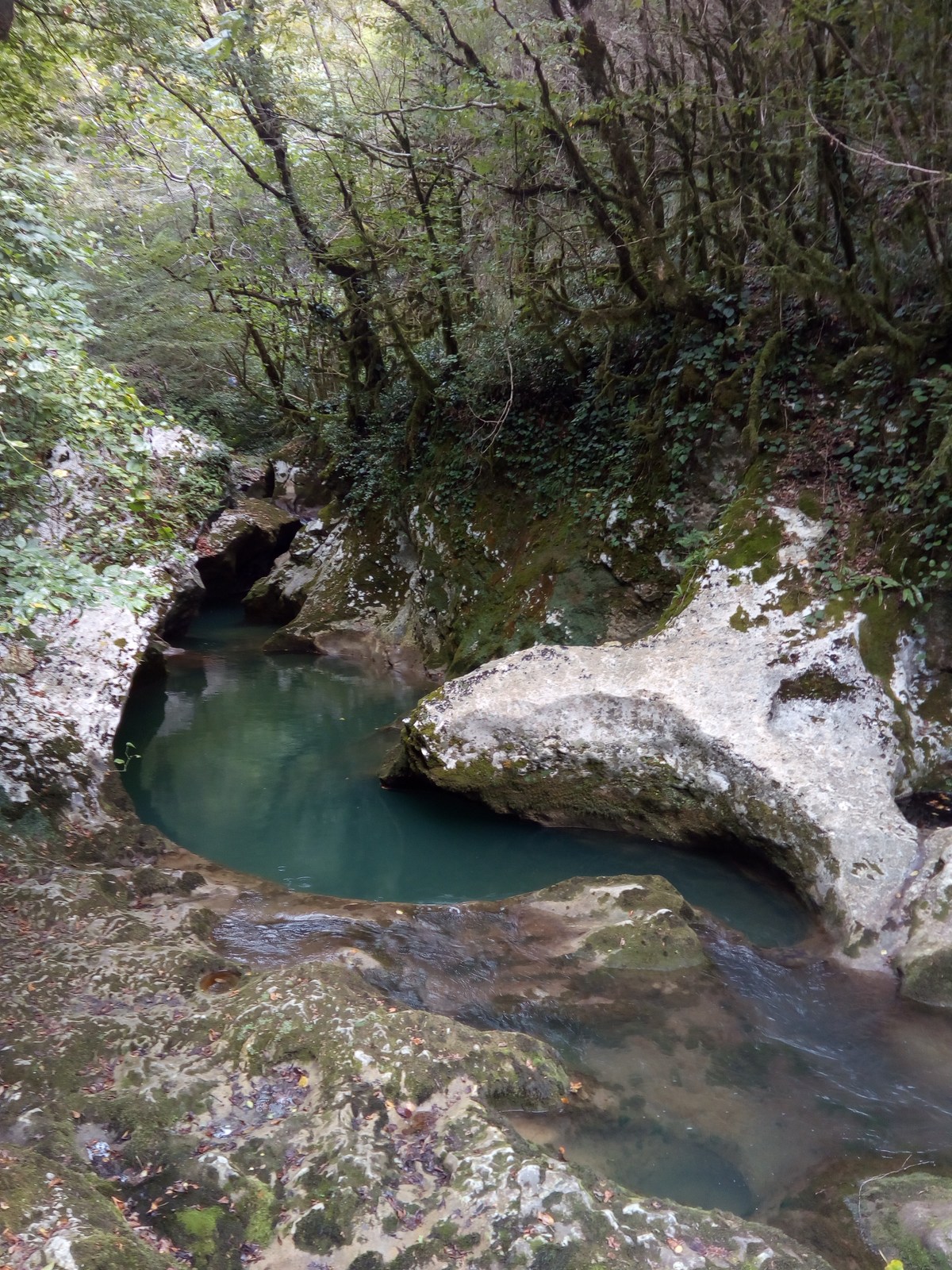  Ресторан Ассир.