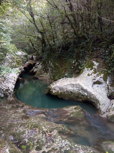 Ресторан Ассир. Абхазия.