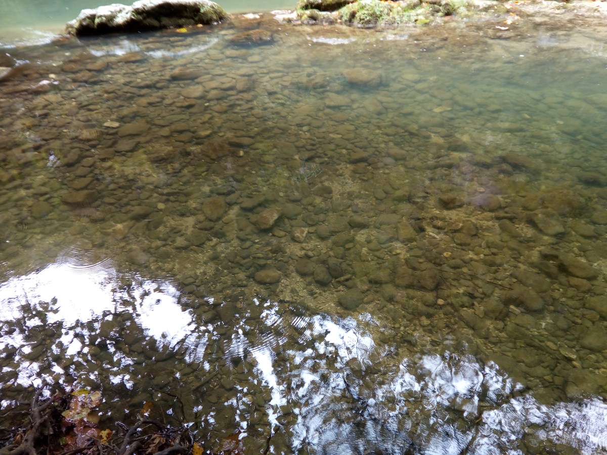  Ресторан Ассир.