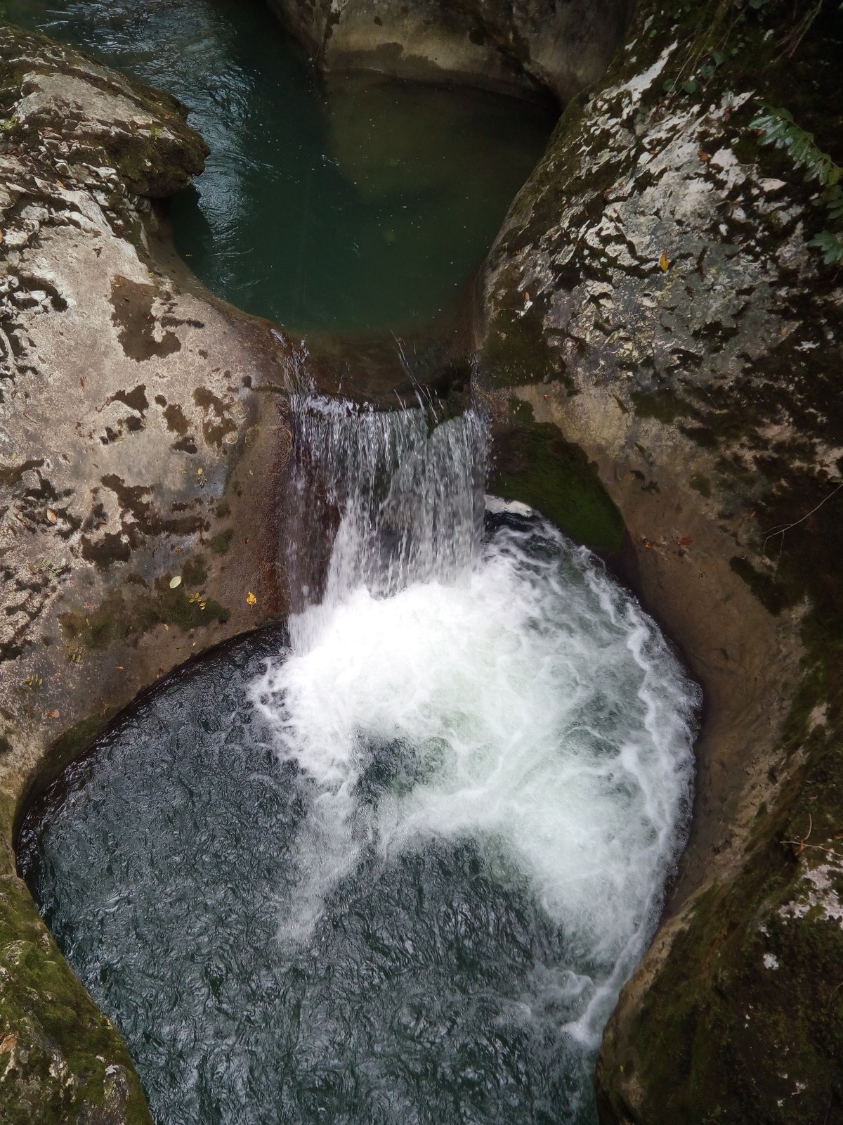  Ресторан Ассир.