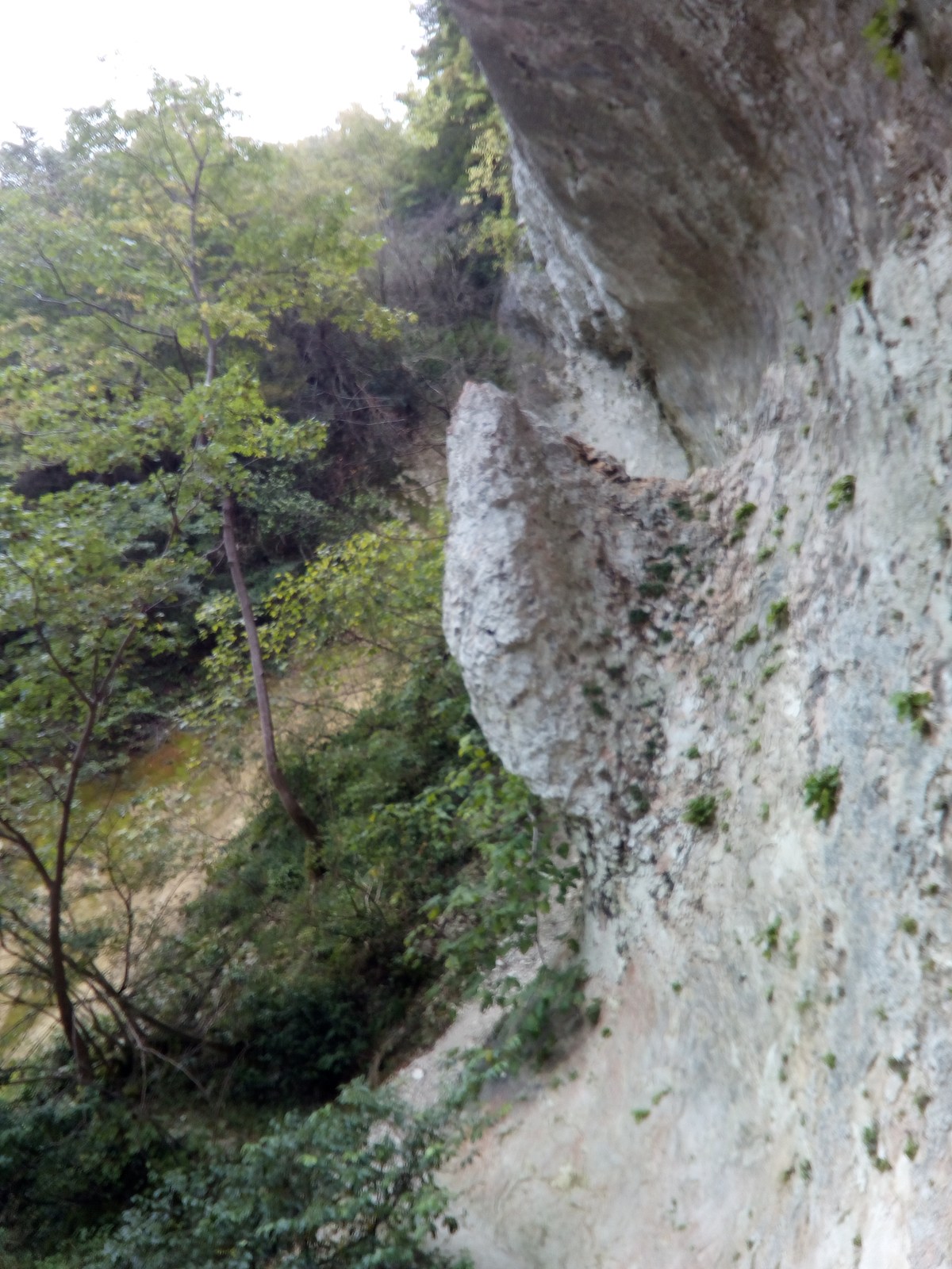  Ресторан Ассир.