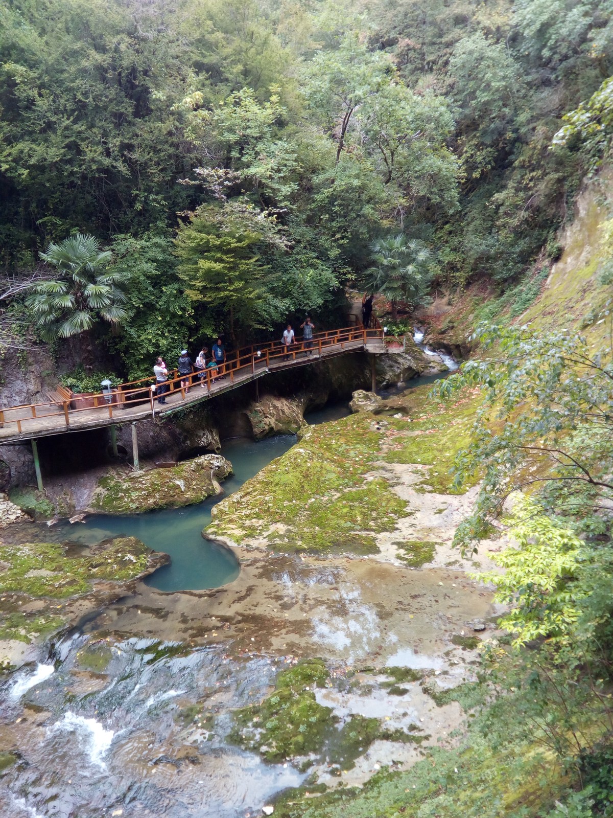  Ресторан Ассир.