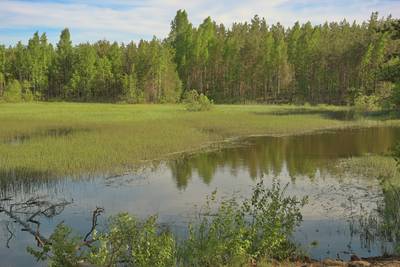 Место для костра Калмеоя. Kalmeoja lõkkekoht.