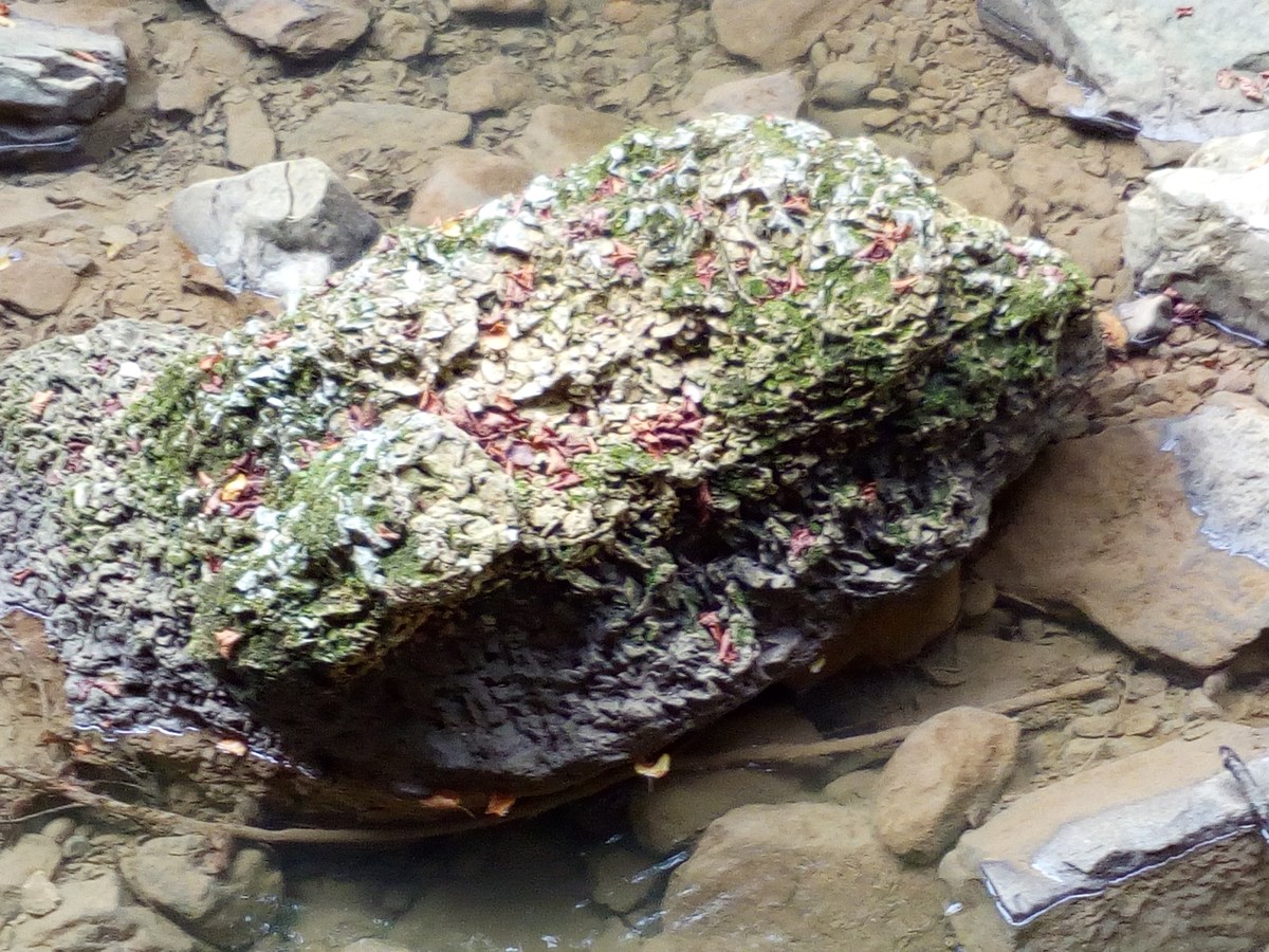 Камень. Ольгинские водопады.