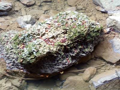 Ольгинские водопады. Абхазия.