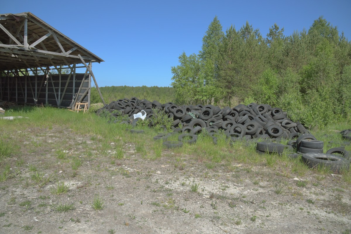 Сарай и покрышки. Ездили в Мяннику.