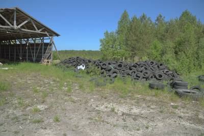 Ездили в Мяннику