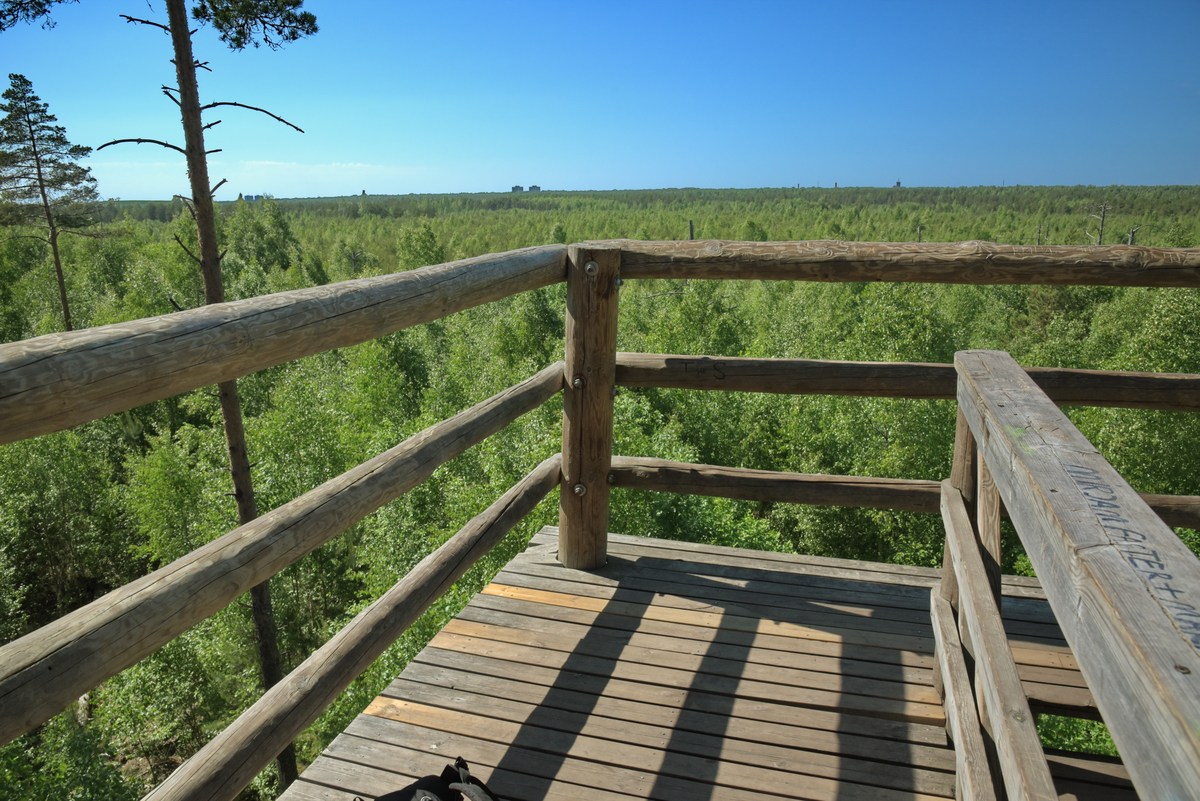  Ездили в Мяннику.