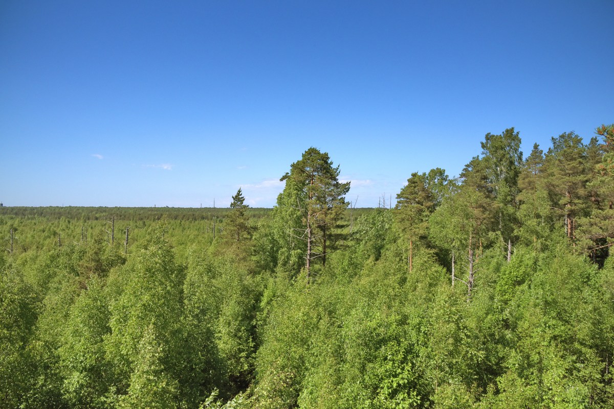  Ездили в Мяннику.