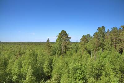 Ездили в Мяннику