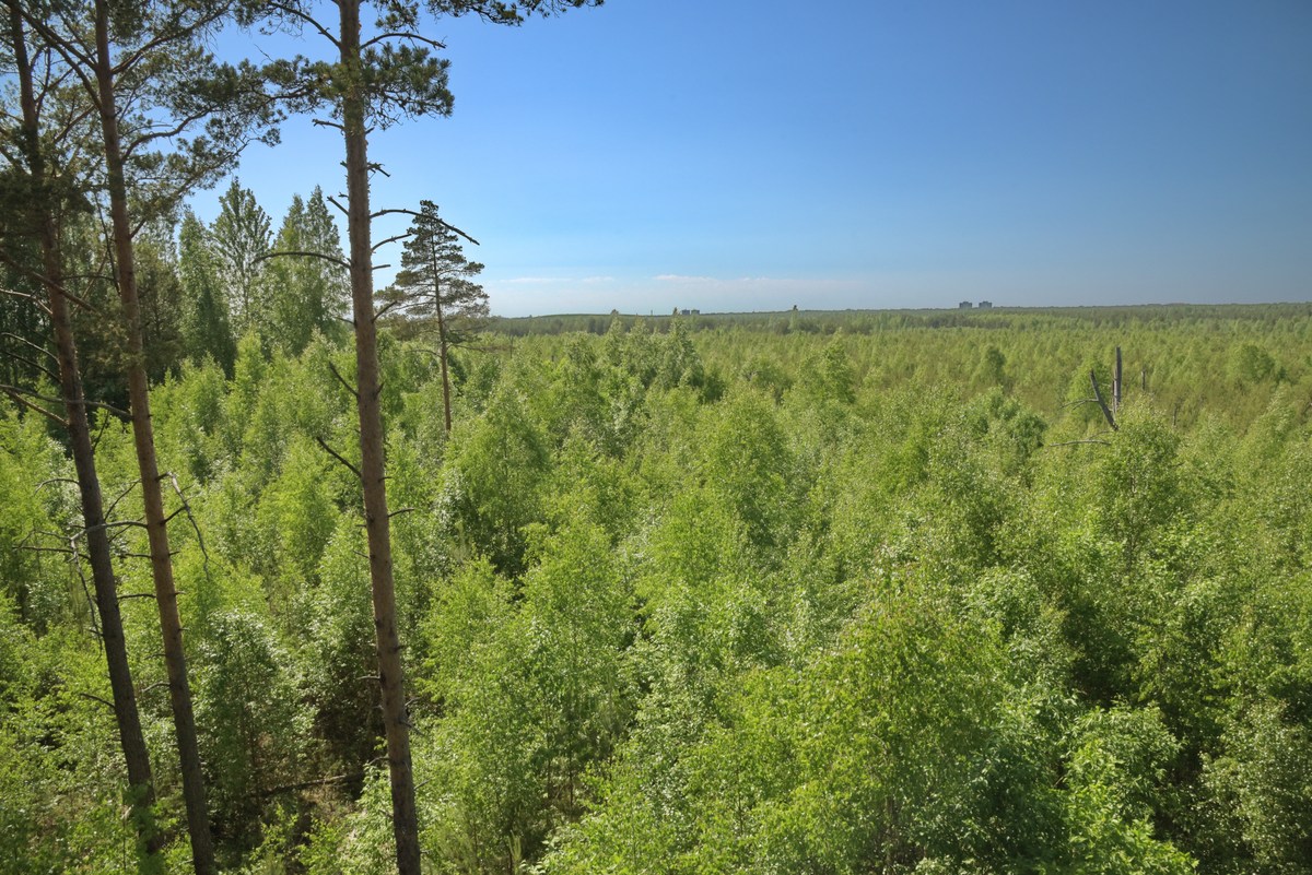  Ездили в Мяннику.