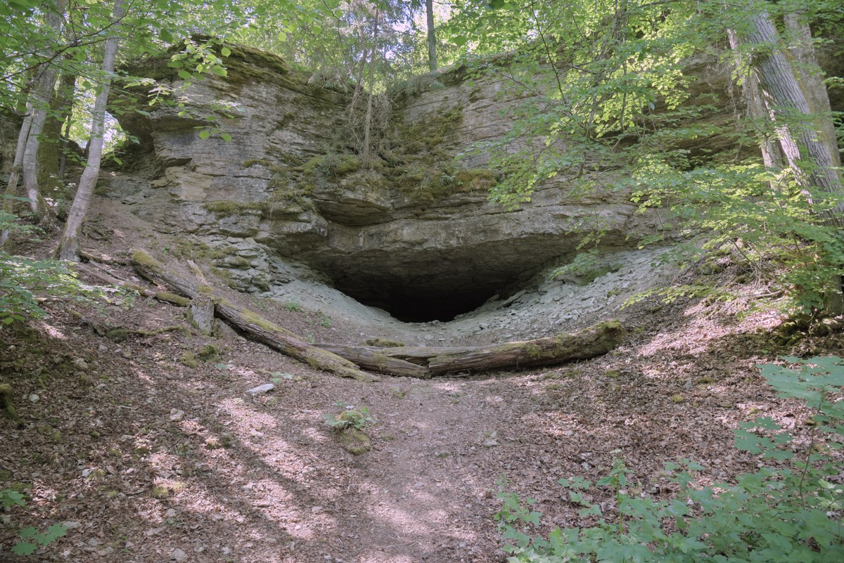 Пещера. Прогулка по забросам.