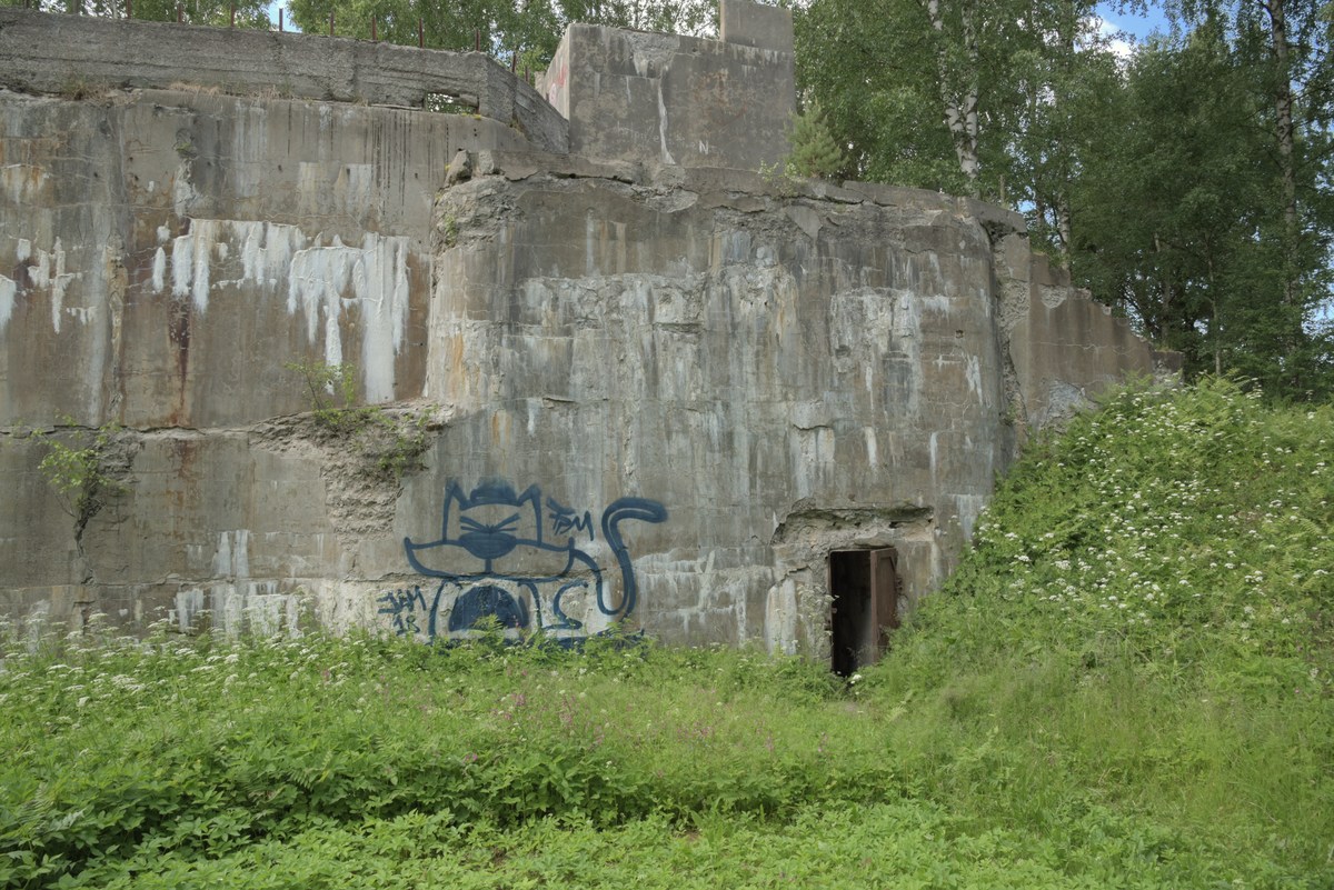  Прогулка по забросам 2.