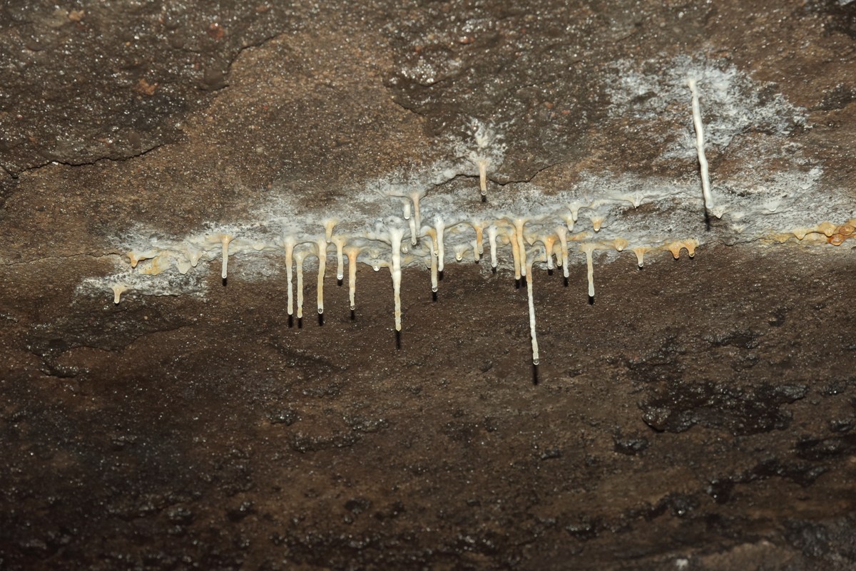 Подземная красота.  Прогулка по забросам 2.