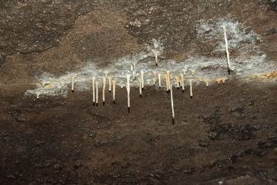 Прогулка по забросам.