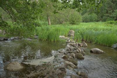 Место для костра Мустоя, Mustoja lõkkekoht, Место для костра Мустоя, Mustoja lõkkekoht,