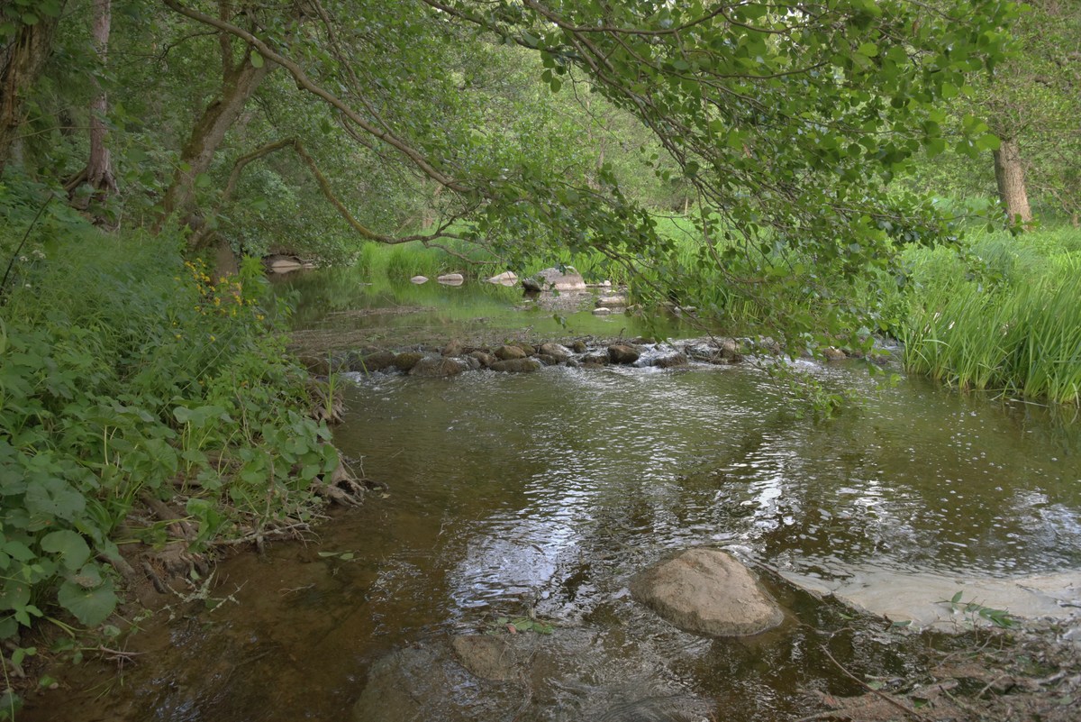  Место для костра Мустоя.