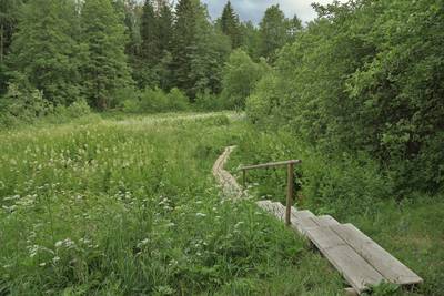 Место для палаток Оанду, Oandu telkimisala