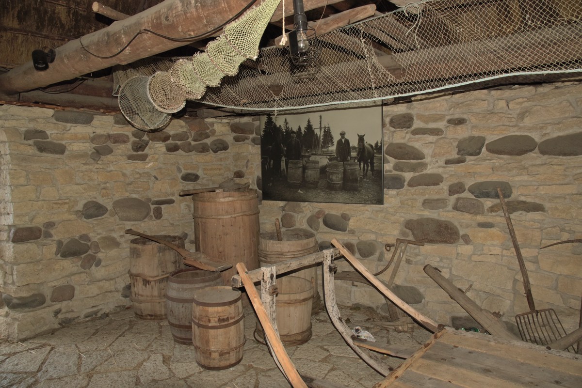  Музей на открытом воздухе Виимси.