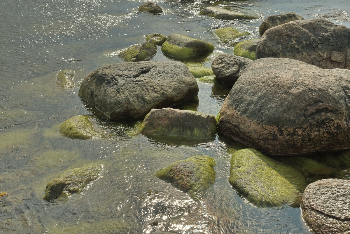  Музей на открытом воздухе Виимси, 2.